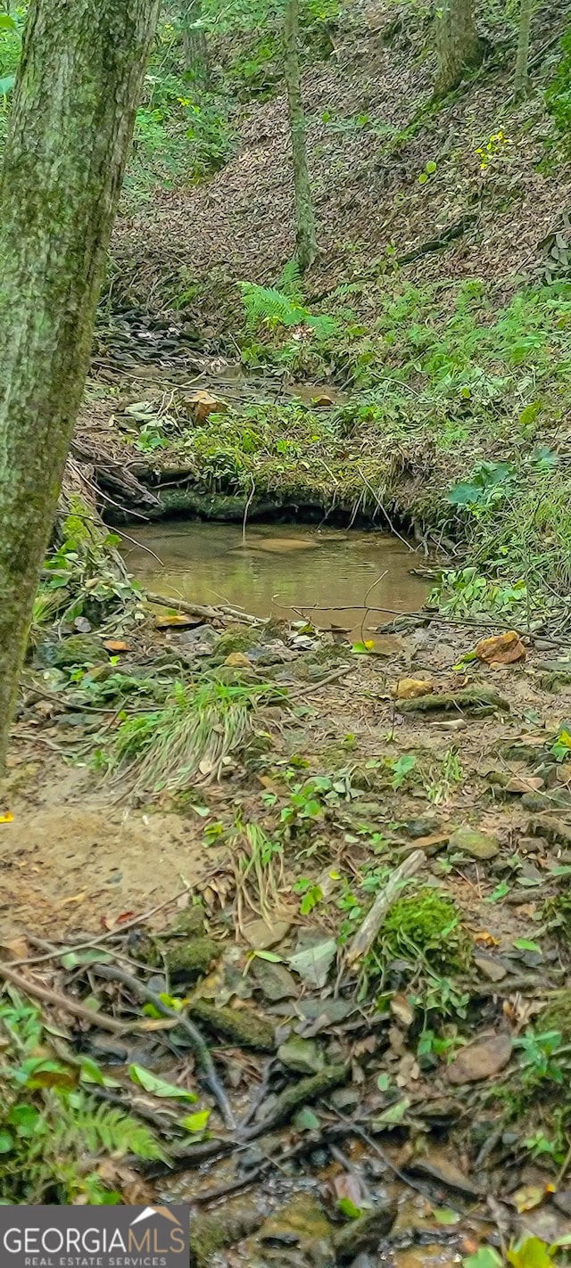 0 Orchard Ln, Talking Rock, GA 30175