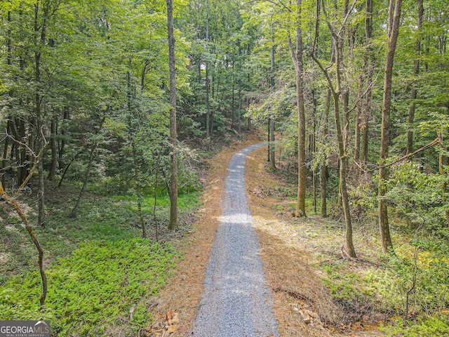 0 Orchard Ln, Talking Rock, GA 30175