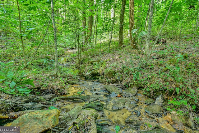 0 Orchard Ln, Talking Rock, GA 30175
