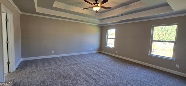 spare room featuring ceiling fan, ornamental molding, a wealth of natural light, and a tray ceiling