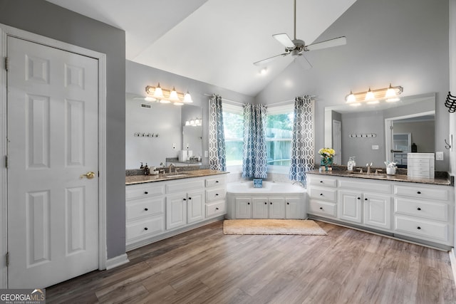 bathroom with a bathtub, hardwood / wood-style flooring, and vanity