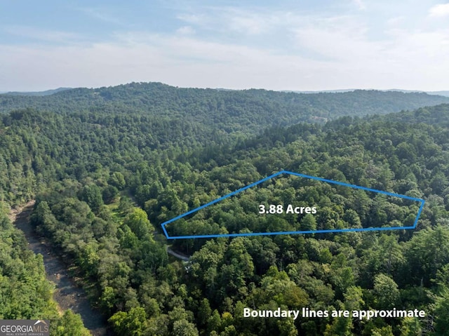 0 Meadow Ln, Talking Rock GA, 30175 land for sale