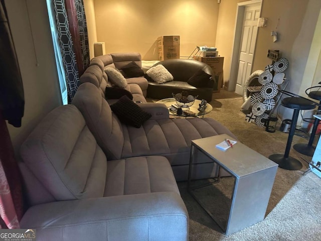 home theater room featuring carpet flooring