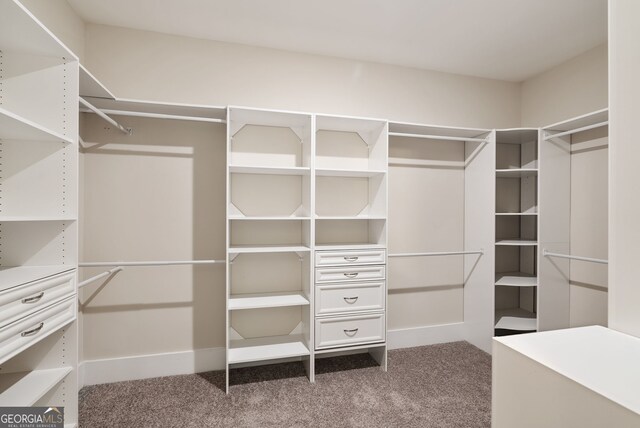 walk in closet featuring carpet floors