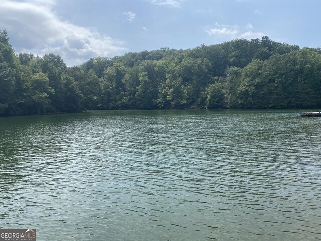 2498 Hidden Cove Ct Unit D, Gainesville, GA 30501 - water view featuring a forest