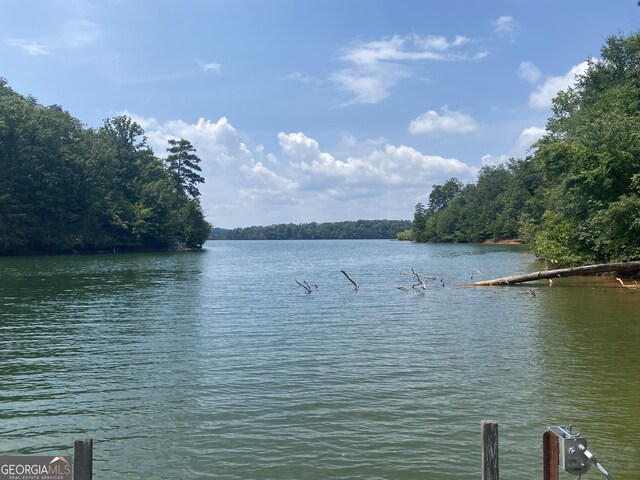 2498 Hidden Cove Ct Unit D, Gainesville, GA 30501 - water view featuring a forest