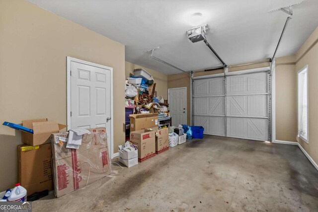 spacious closet with wood-type flooring