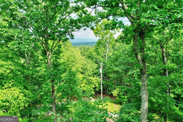 view of nature featuring a forest view