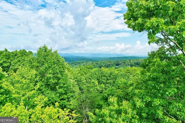 view of mountain feature