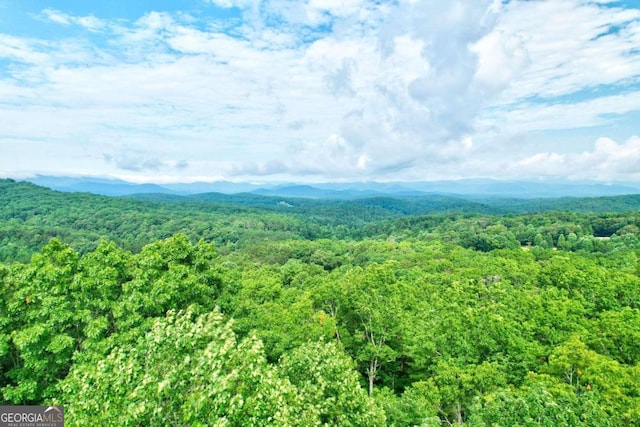 bird's eye view with a mountain view