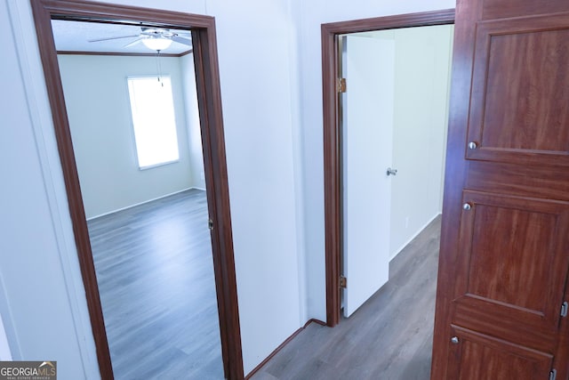 hallway with dark hardwood / wood-style floors and crown molding