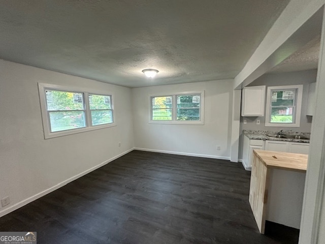 unfurnished living room with sink, dark wood-type flooring, and a wealth of natural light