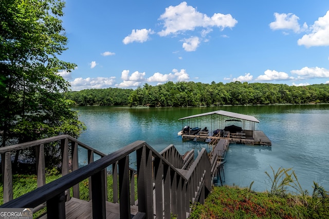 dock area with a water view