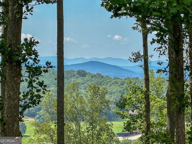 0 Winding Rdg, Blairsville GA, 30512 land for sale