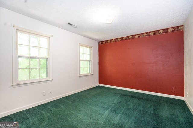 empty room featuring a wealth of natural light and carpet flooring