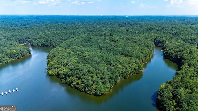 drone / aerial view with a water view and a wooded view