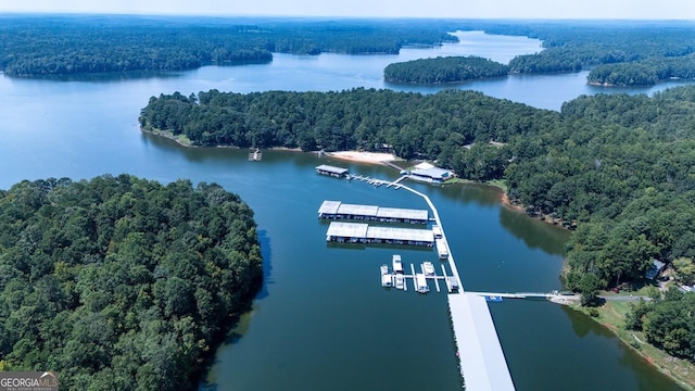 drone / aerial view featuring a forest view and a water view