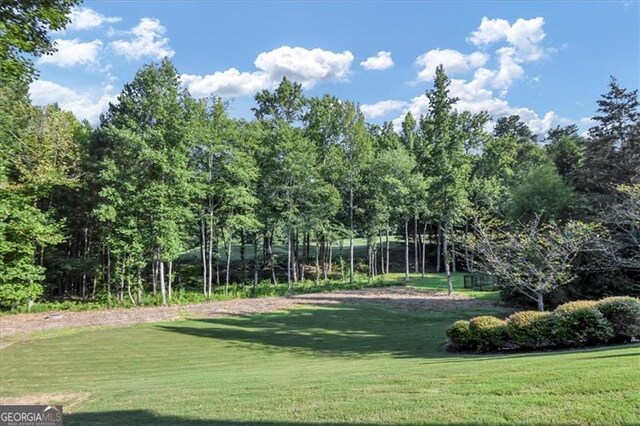 view of home's community with a yard