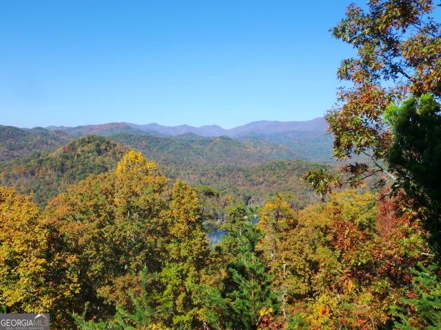 A19 Winterberry Dr, Clayton, GA 30525