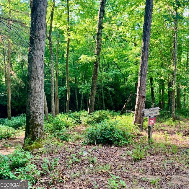 Listing photo 2 for LOT20 Cricket Ln, Warne NC 28909