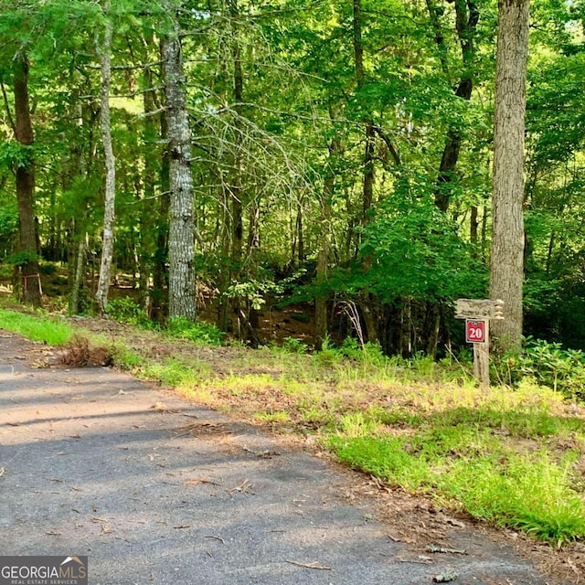 Listing photo 3 for LOT20 Cricket Ln, Warne NC 28909