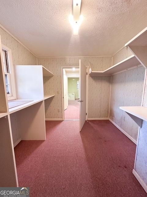 spacious closet with carpet