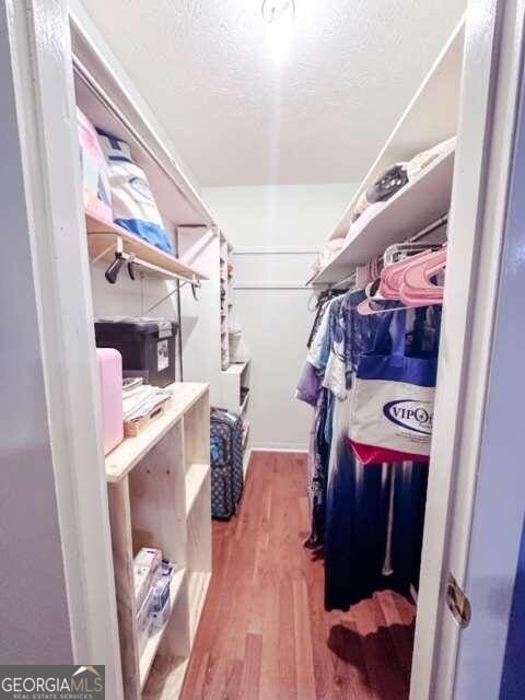 walk in closet with wood-type flooring