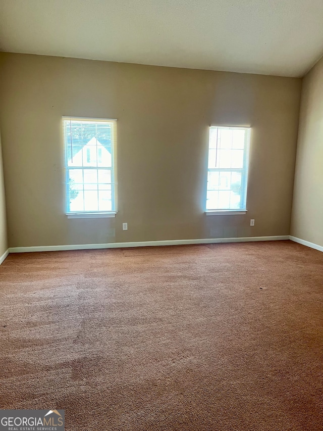 empty room featuring a wealth of natural light and light carpet