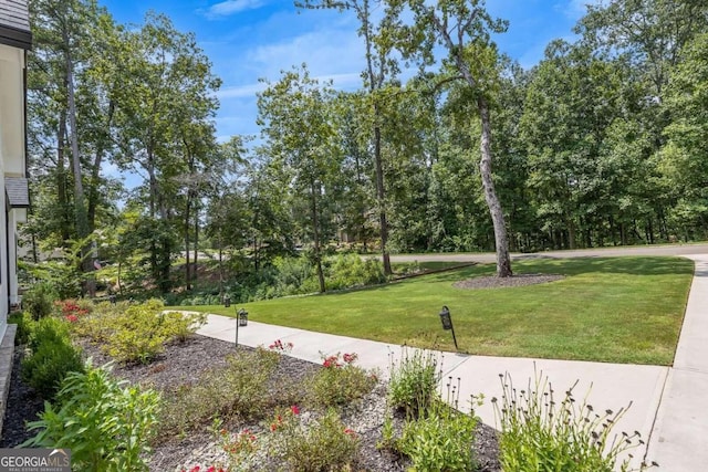 view of home's community featuring a yard