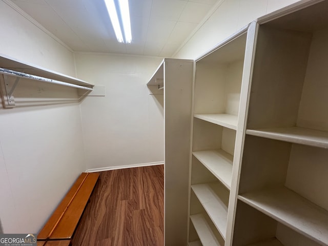 walk in closet with wood-type flooring