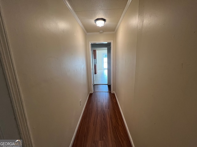 hallway with crown molding, wood-type flooring, and a textured ceiling