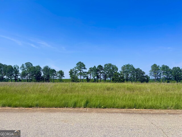 LOT36 Crabapple Dr, Hawkinsville GA, 31036 land for sale