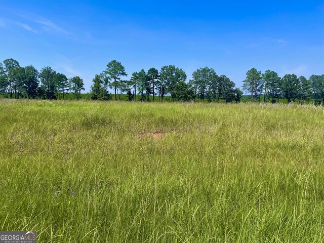 Listing photo 3 for LOT36 Crabapple Dr, Hawkinsville GA 31036