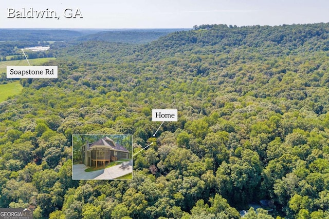 aerial view with a forest view