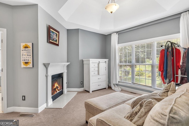 bedroom featuring light colored carpet and a raised ceiling