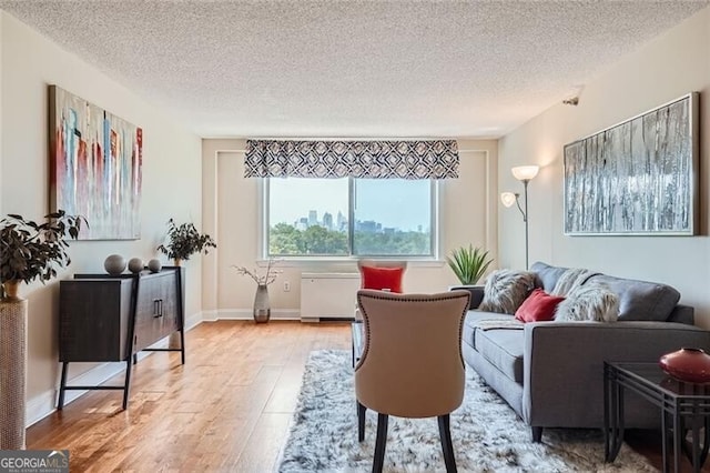 living room featuring a textured ceiling and hardwood / wood-style flooring