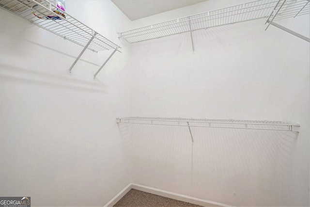 walk in closet featuring carpet floors