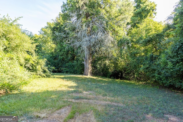 view of yard with a view of trees