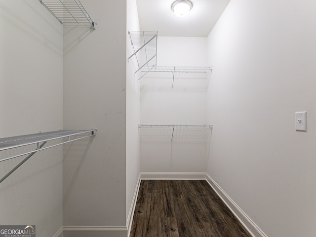 walk in closet with wood-type flooring