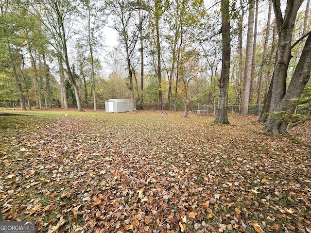 view of yard featuring a shed