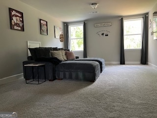 bedroom with carpet flooring