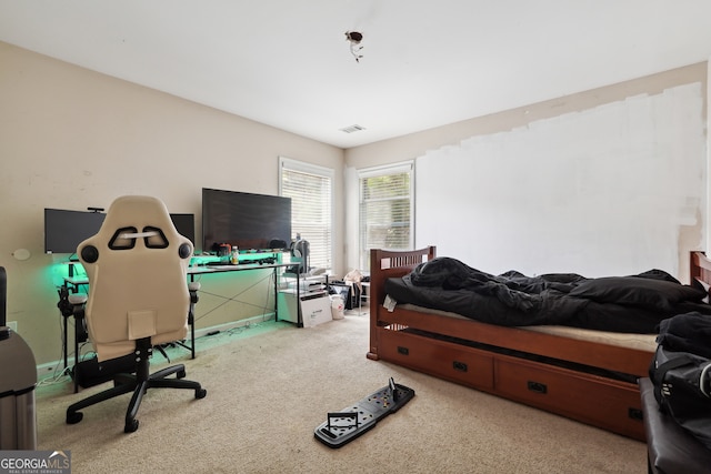 bedroom with carpet floors