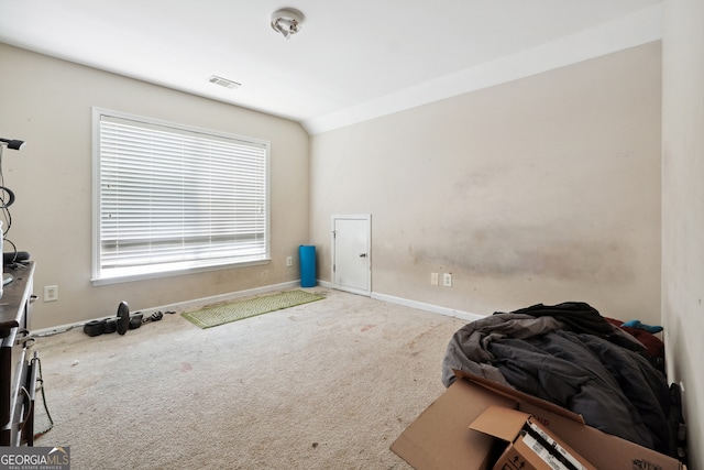 misc room featuring carpet floors and plenty of natural light