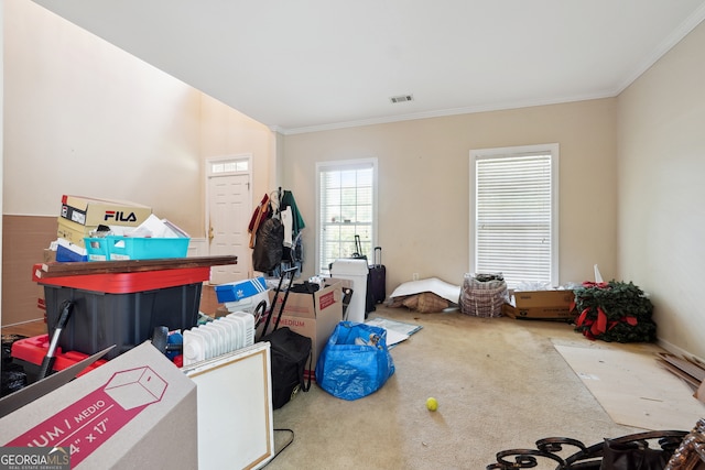 miscellaneous room featuring carpet and ornamental molding