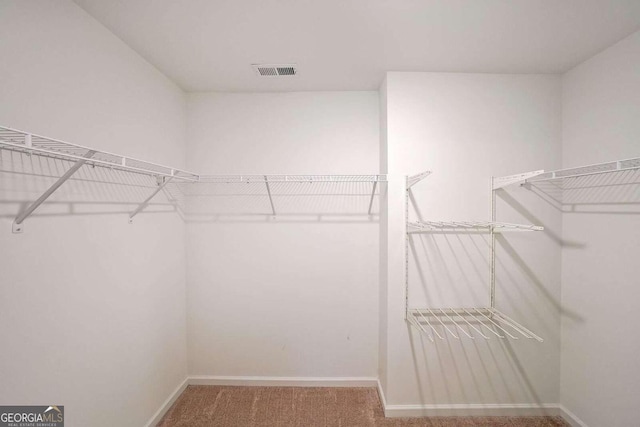 spacious closet featuring carpet and visible vents