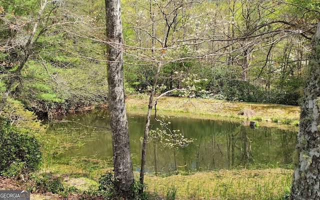 view of landscape featuring a water view