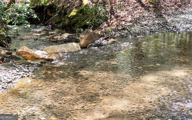 view of local wilderness