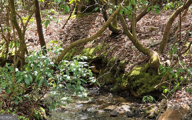 view of local wilderness featuring a water view