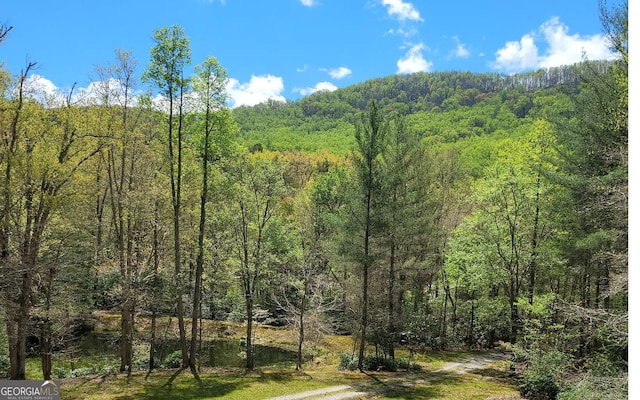 view of mountain feature