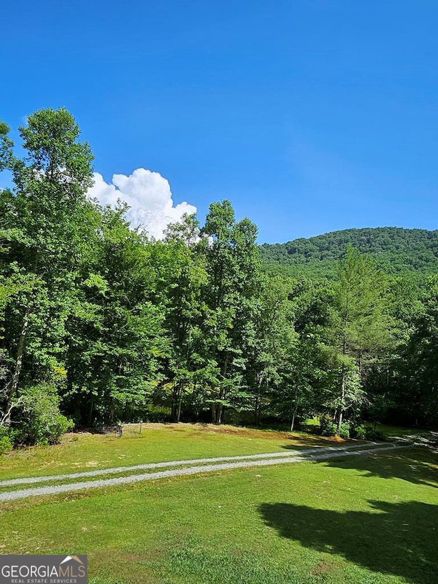 view of property's community featuring a lawn